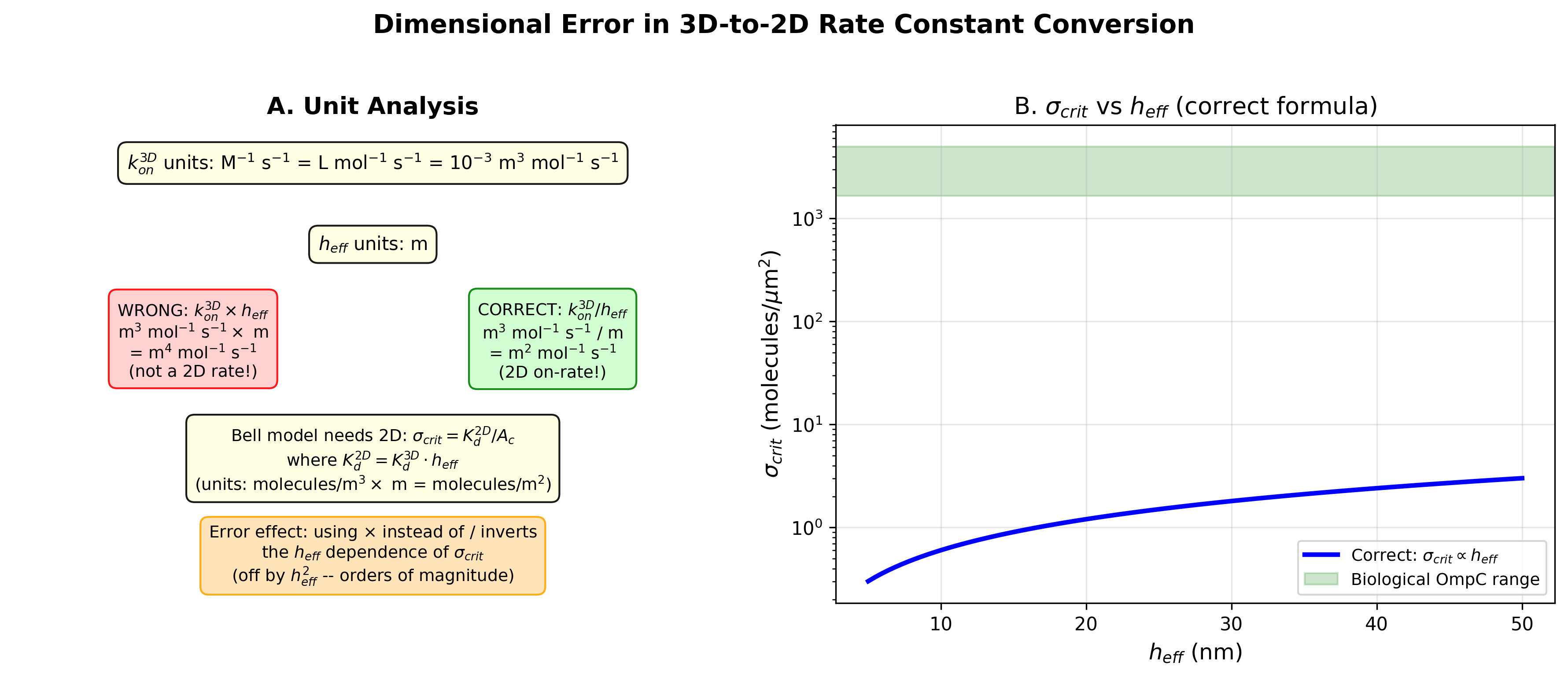 Dimensional analysis of 3D-to-2D rate constant conversion error