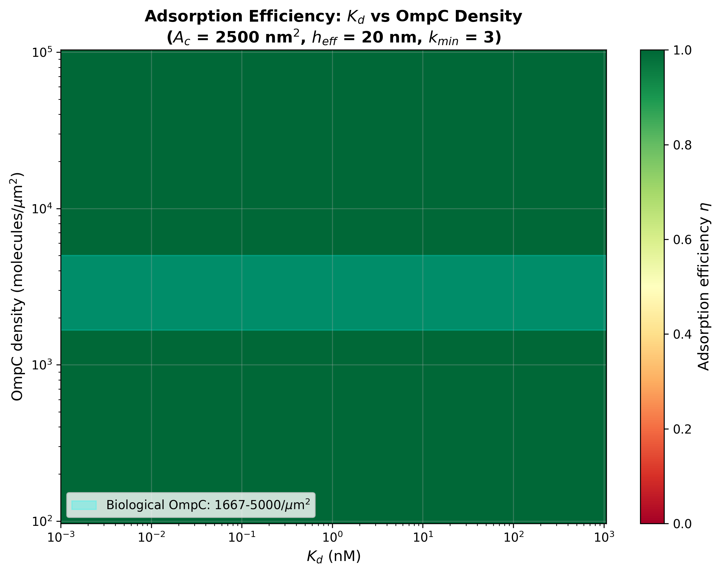 2D heatmap of adsorption efficiency vs Kd and OmpC density