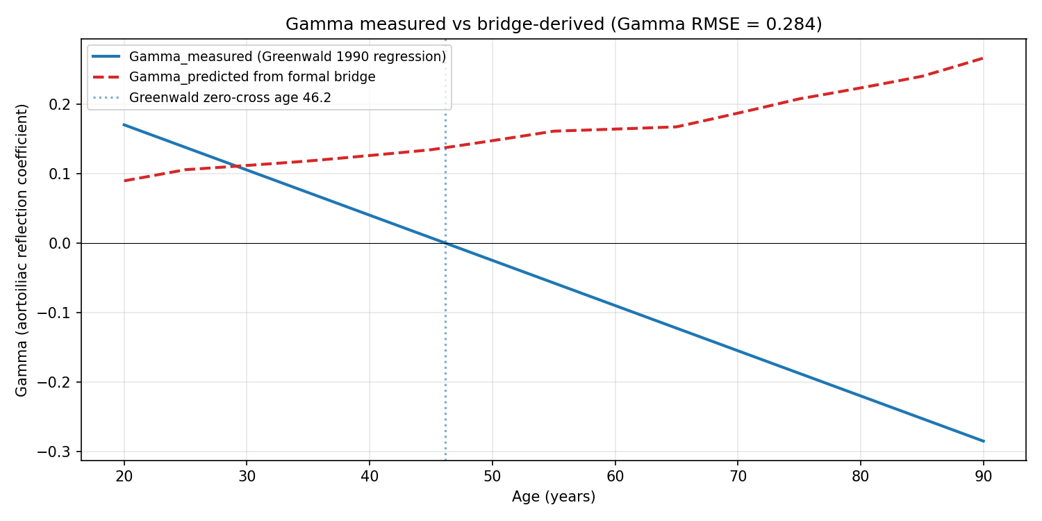 Greenwald 1990 measured Gamma(age) regression (blue) vs bridge-predicted Gamma(age) from the same chi_measured fed into Gamma = (chi* - chi)/(chi* + chi) with chi* from published wave speeds (red dashed). Greenwald's measured Gamma crosses zero at age 46.15 and becomes negative in elderly; the bridge prediction stays positive across the full 20-90 range. The direction mismatch (not just magnitude) indicates additional physics is required for the aortoiliac site.