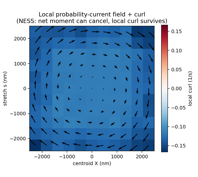 Estimated local probability-current field and its curl for the simulated kinetochore NESS: the local curl survives (mean -0.128/s = -2*omega) even where the global moment cancels.