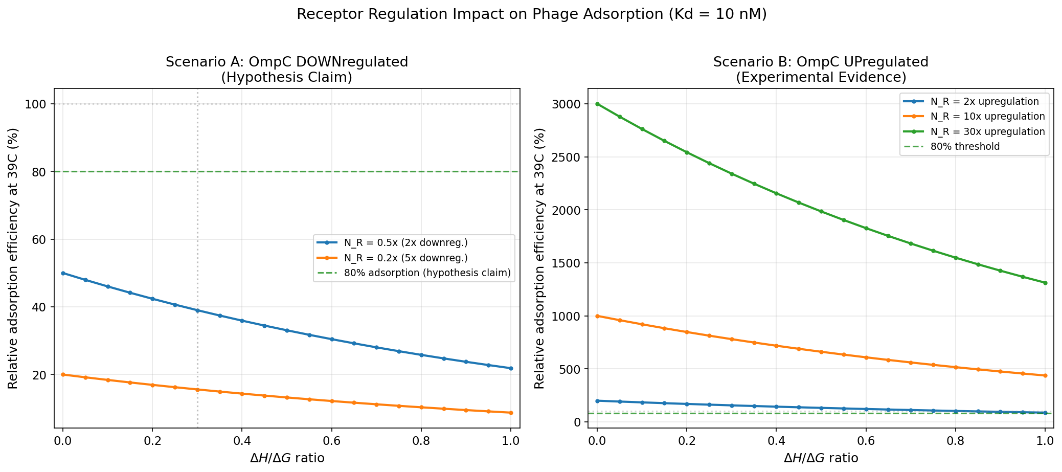 OmpC receptor regulation impact: downregulation (hypothesis) vs upregulation (evidence) on phage adsorption efficiency